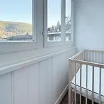 Apartmán Im Schwarzwald Zu Hause Bad Wildbad