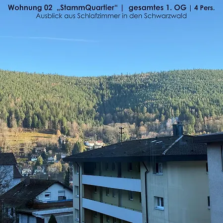3 Apartments Fuer 2-12 Gaeste In Bad Wildbad, 10 Min Zur Sommerbergbahn Apartment Bad Wildbad